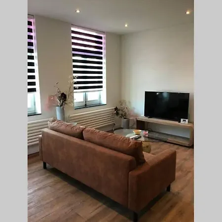 Sas Van Gent, Luxe Appartement In Centrum Exterior foto