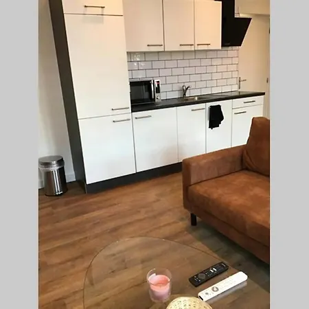 Sas Van Gent, Luxe Appartement In Centrum Exterior foto